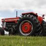 Massey Ferguson 175 (fully restored) Image 10