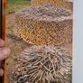 . Norwegian Wood. Chopping, Stacking, And Drying Wood The Scandinavian Way. By Lars Mytting. Hardback In Very Good Condition. Image 7