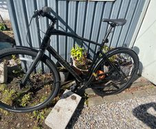 Specialized Mountain Bike