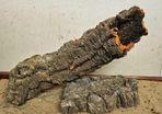Cork Bark XXL