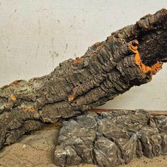 Cork Bark XXL