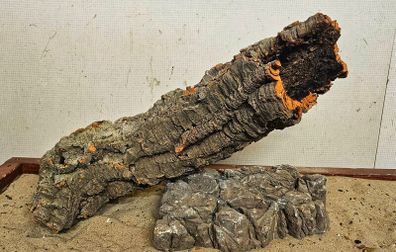 Cork Bark XXL