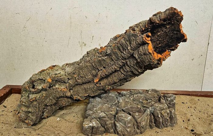 XXL Cork Bark