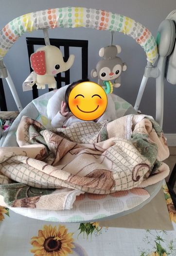 Baby swing