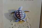 Post card, Trust your journey, turtle postcard