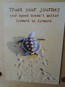 Post card, Trust your journey, turtle postcard