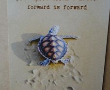 Post card, Trust your journey, turtle postcard