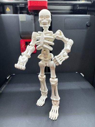 Build-Your-Own Skeleton Figure