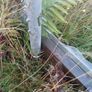 Polytunnel Image 4