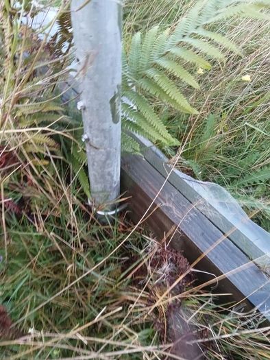Polytunnel