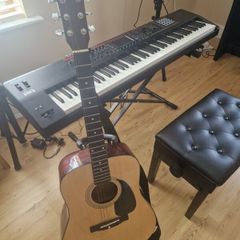 Fender DG-5