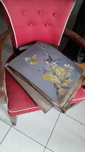 Antique French PostCards circa 1890s to Early 1900s  with Very old Stamps Huge Collection