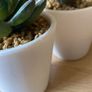 ShabbyChic Set of 2Brand new Shades and set of 2 free plants with purchase Image 4
