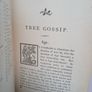 Tree Gossip by Francis George Heath (PT259) Image 4