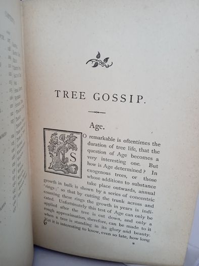 Tree Gossip by Francis George Heath (PT259)