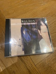 Brian Wilson - Brian Wilson