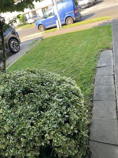 Grass Cutting & Garden Maintenance