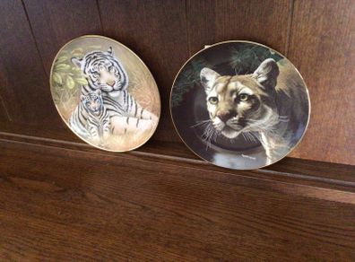 A pair of wild cat  8 inch decorative plates