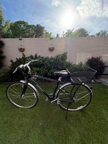 American Sourced Momentum Bike
