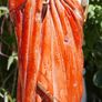 Antique Sacred Heart. Statue 16 inch Plaster Heart Jesus Christ Catholic Church Image 7