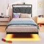 Single with LED Lights,Ergonomic Headboard with USB Charging,Bed Frames Noise-Free Metal Slats,Black Image 7