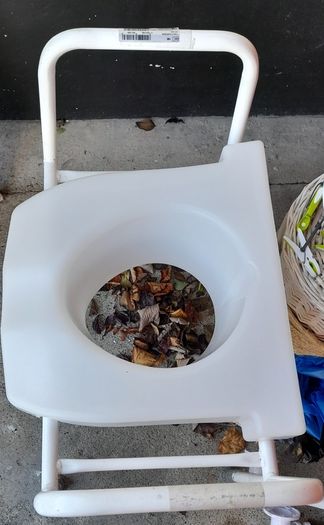 Elderly  items