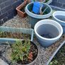 Plant pots Image 3