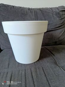 plant pot