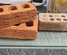Red bricks
