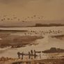 Strangford Lough by Ray Elwood Image 3