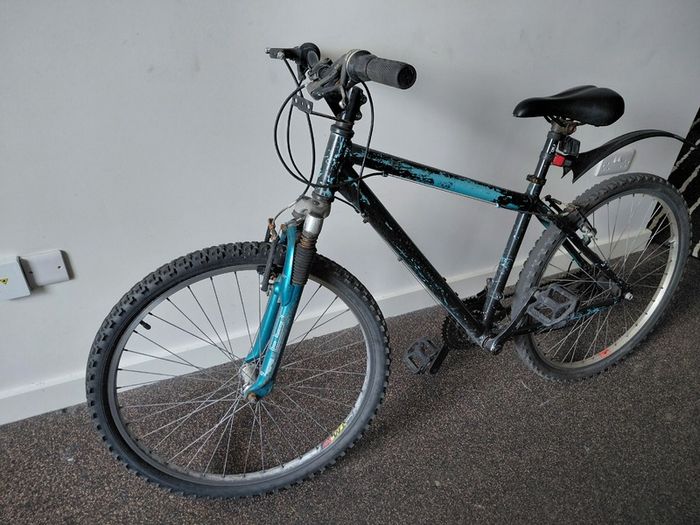 Kalin Mountain Bike Quick Sale