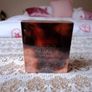 Estee Lauder Image 7