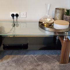 TV unit