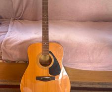 Yamaha f310