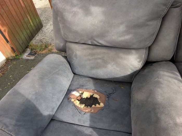Free - Recliners