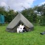 8 Man Tent Image 7