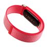 Google Fitbit Air - Screenless Activity Tracker With Fitness, Heart Rate, and Sleep Tracking - Personalized AI-Powered Coaching - Up to 7 Days Battery Life - Works iOS and Android (Berry/Champagne Gold) Image 2