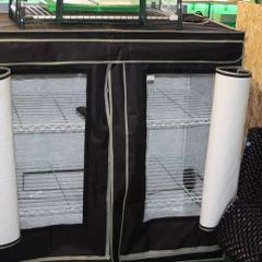 HOMEbox EVOLUTION -  planting tent 125W x 65D x120Hcm