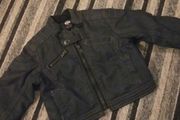 Zara jacket for babyboy