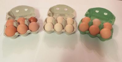 Hatching Eggs