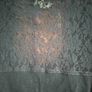2 tops -Black lace, & spotted.NEW Image 5