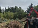 O' Toole Tree Services Image 3