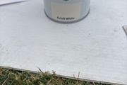 paint tester exterior