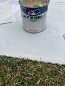 paint tester exterior