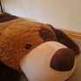 Large Dog Teddy Image 3
