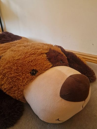 Large Dog Teddy