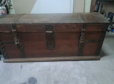 chest