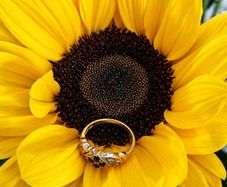 Vintage 9ct Yellow Gold Gypsy Ring