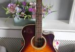 Gibson Epiphone PR 6E