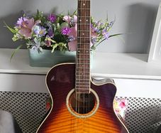 Gibson Epiphone PR 6E